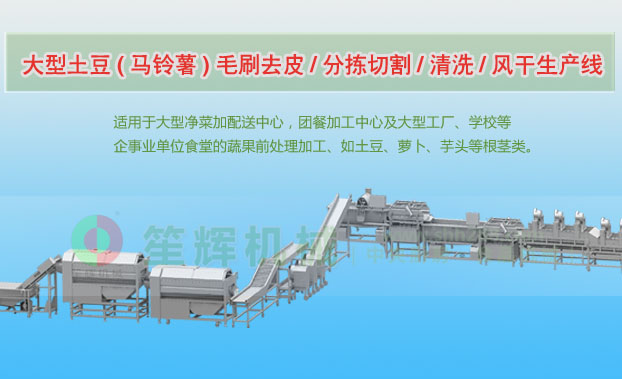 崇文连续式土豆去皮清洗切割风干生产线